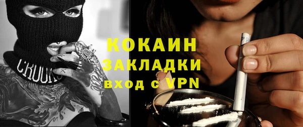 шишки Козельск