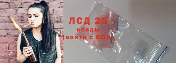 шишки Козельск