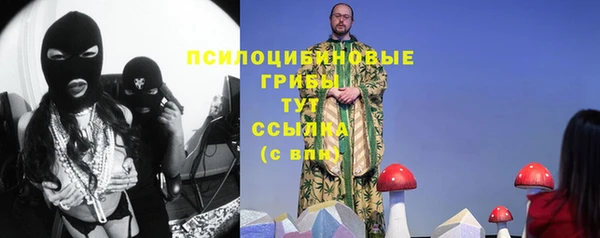 прущая мука Козловка