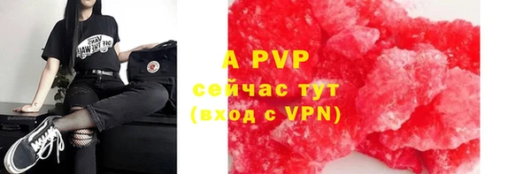 гашик Кодинск