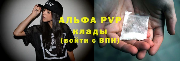 гашик Кодинск