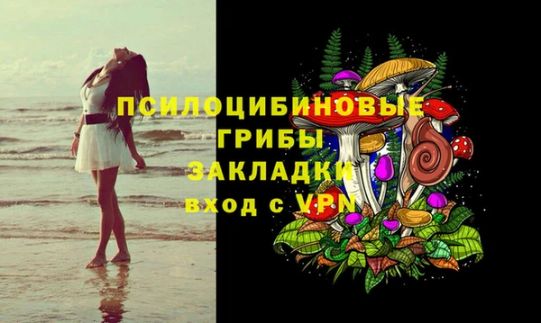 гашик Кодинск