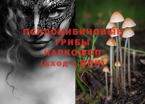 гашик Кодинск