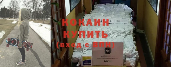 шишки Козельск