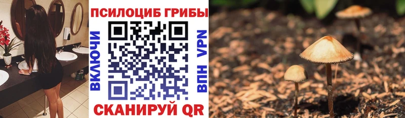 Галлюциногенные грибы Psilocybe Ногинск