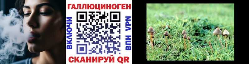Галлюциногенные грибы Psilocybine cubensis  Купить  Ногинск 